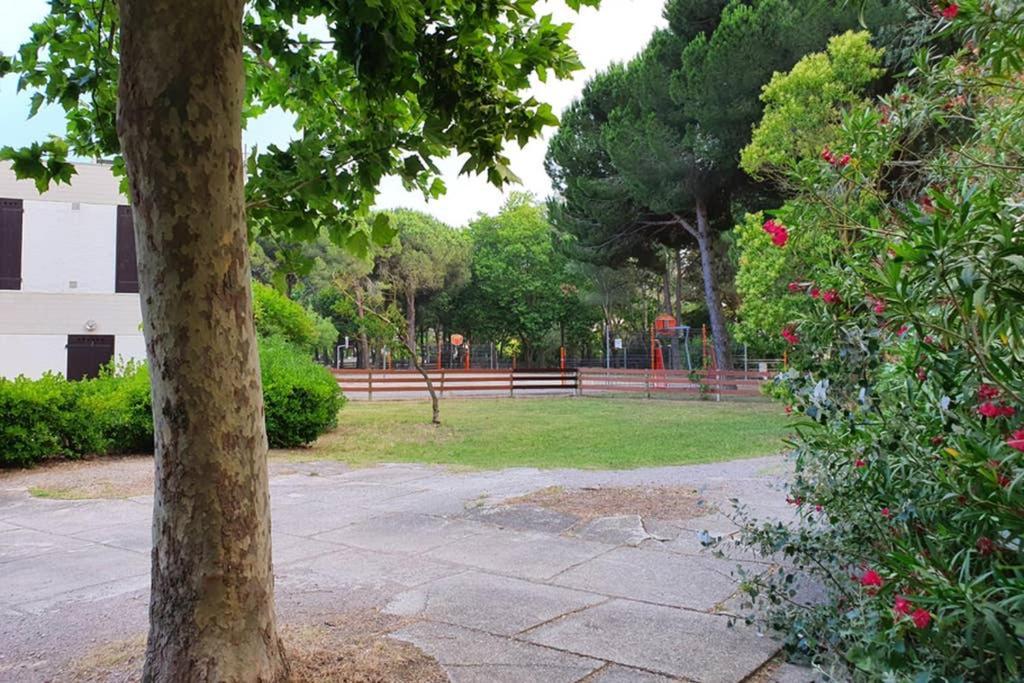 Studio Cabines 6 Couchages 150 M De La Plage Et A Quelques Secondes Des Commerces Wifi Gratuit 拉格朗德默特 外观 照片